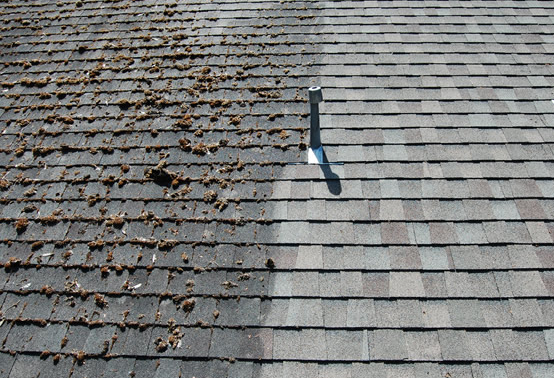 Before and after roof cleaning showing mold removal