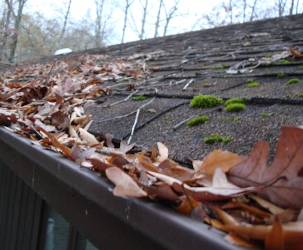 Do You Suffer From Gutter Nightmares?