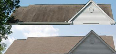 Roof before and after