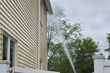 Gutter Cleaning
