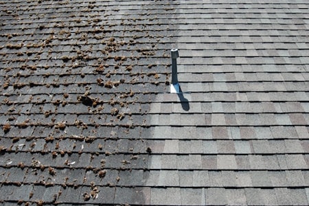Roof Cleaning